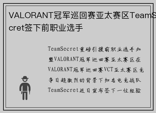 VALORANT冠军巡回赛亚太赛区TeamSecret签下前职业选手