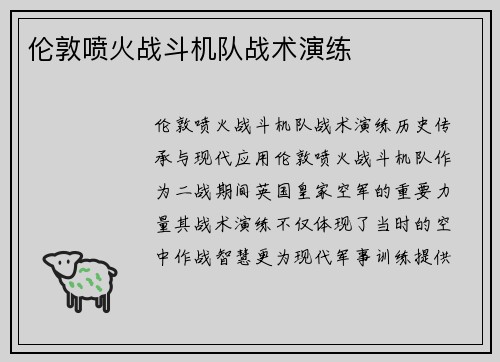 伦敦喷火战斗机队战术演练