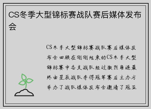 CS冬季大型锦标赛战队赛后媒体发布会